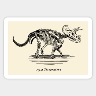 Figure Two: Triceratops Magnet